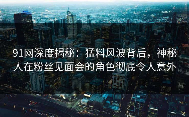 91网深度揭秘：猛料风波背后，神秘人在粉丝见面会的角色彻底令人意外