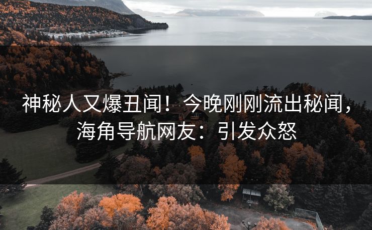 神秘人又爆丑闻！今晚刚刚流出秘闻，海角导航网友：引发众怒