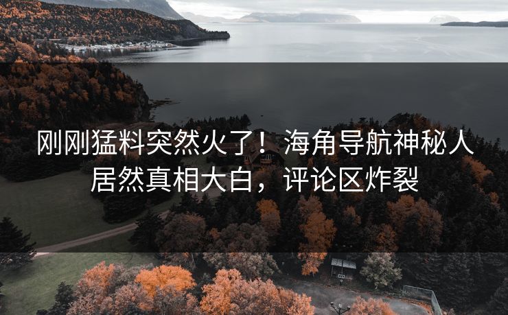 刚刚猛料突然火了！海角导航神秘人居然真相大白，评论区炸裂