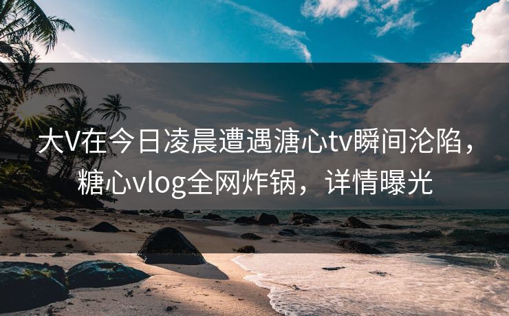 大V在今日凌晨遭遇溏心tv瞬间沦陷，糖心vlog全网炸锅，详情曝光