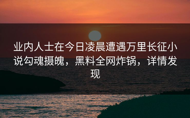 业内人士在今日凌晨遭遇万里长征小说勾魂摄魄，黑料全网炸锅，详情发现