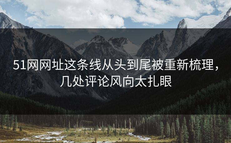 51网网址这条线从头到尾被重新梳理，几处评论风向太扎眼